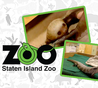 Meet and Learn About the Animals of Staten Island Zoo: An Inside Look